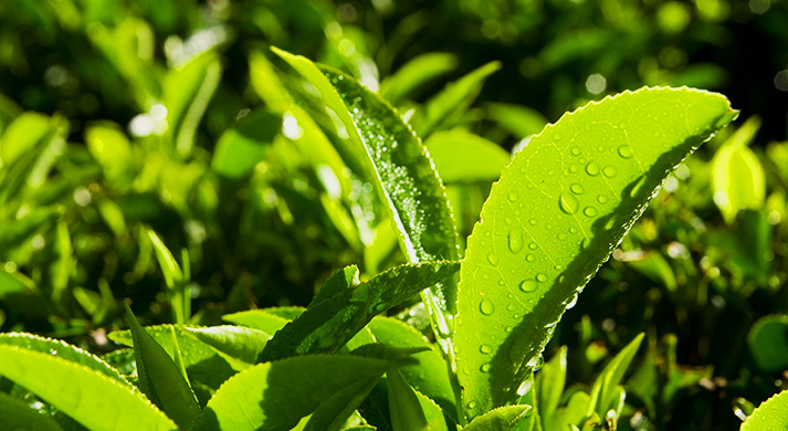 AdobeStock_179204976-resize AdobeStock_179204976-resize