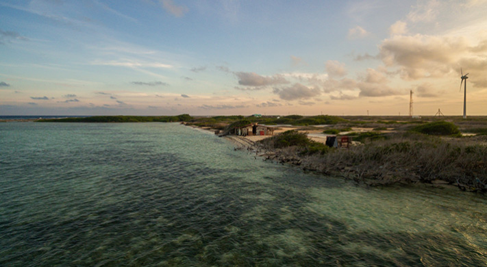 AdobeStock_309195196-resize AdobeStock_309195196-resize