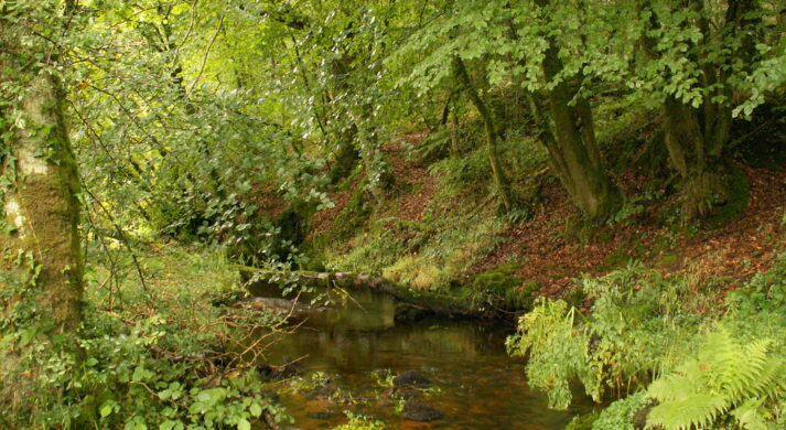 Le Douron Le Douron © Morlaix communauté