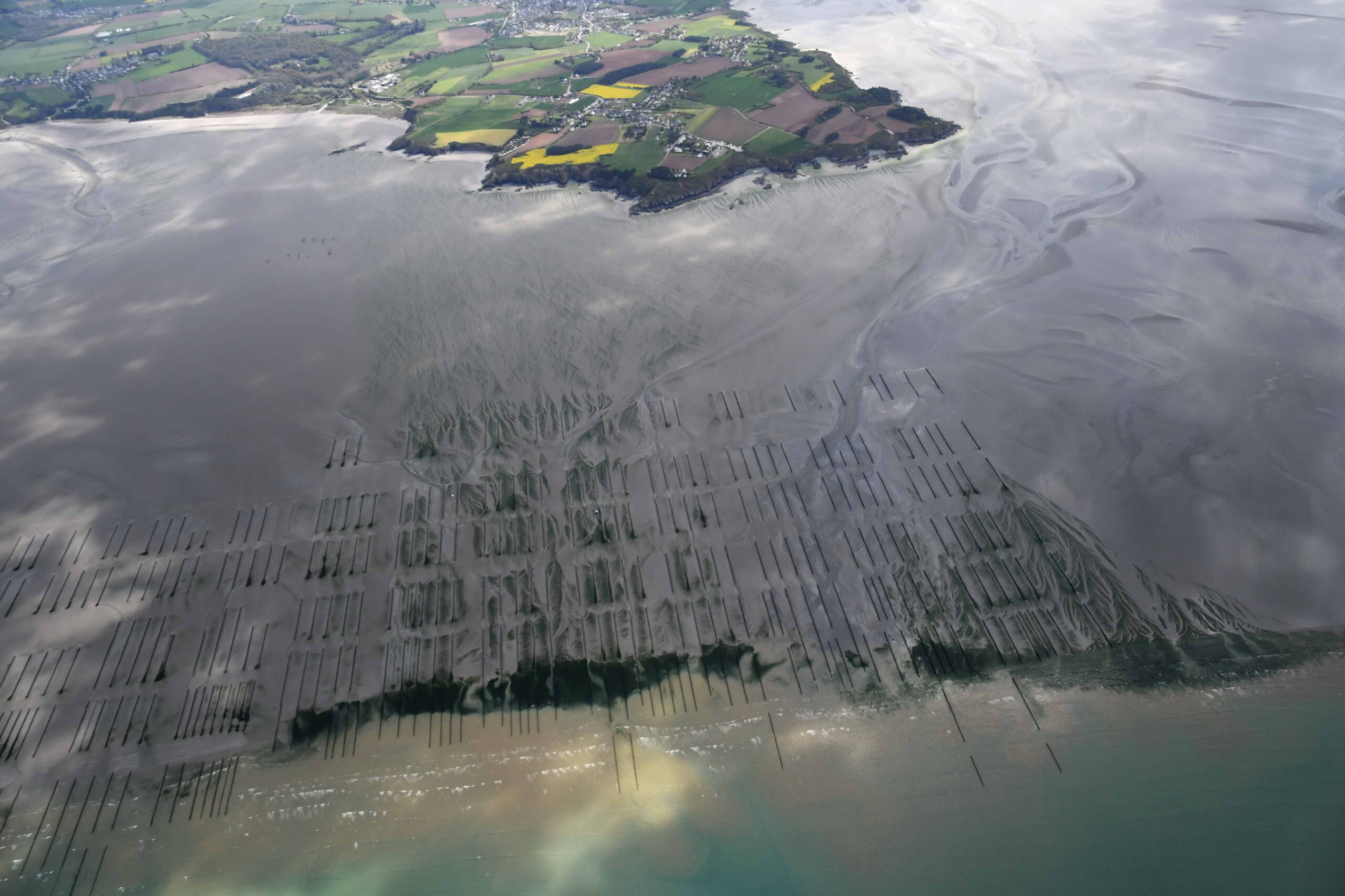 Baie de Saint Brieuc le 18 avril 2022