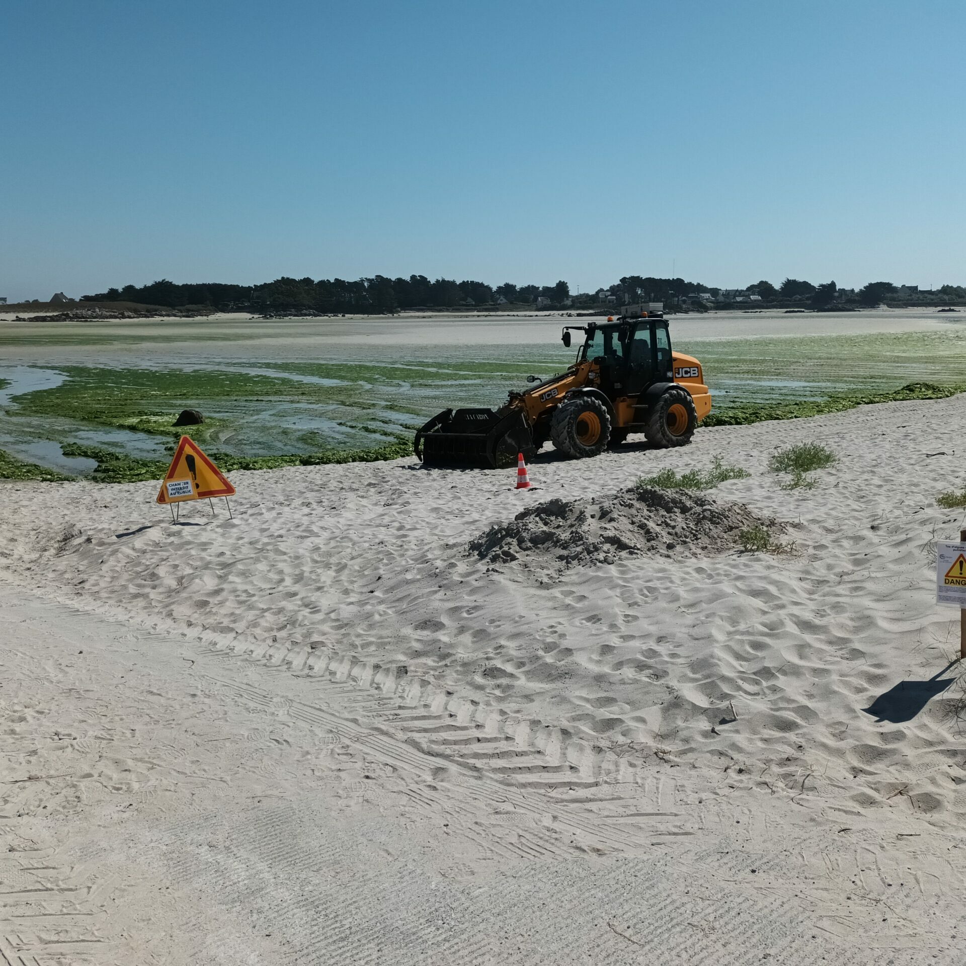 Chantier de ramassage d'algues vertes - © Communauté Lesneven Côte des Légendes